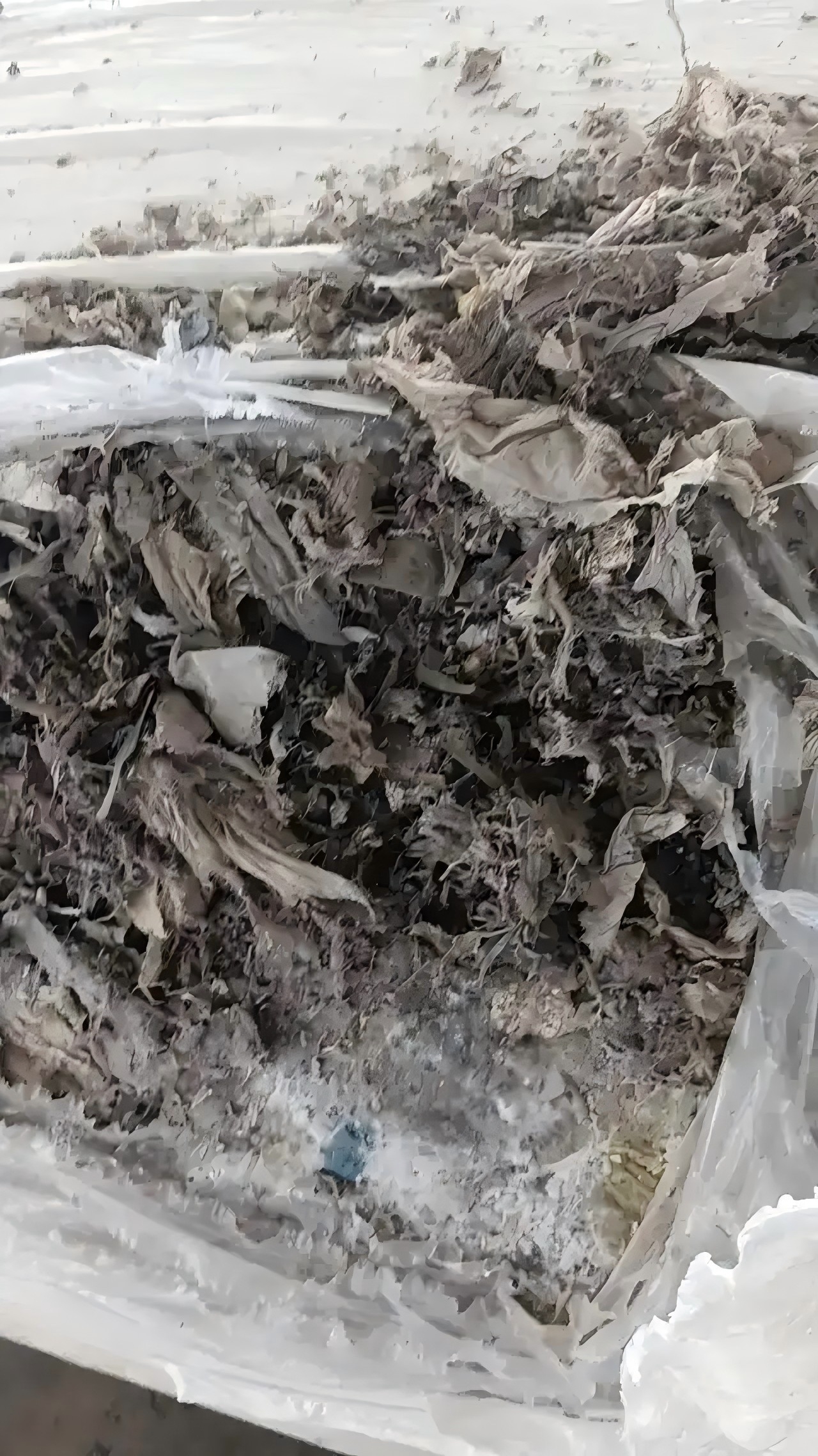 总重逾2600吨！海关破获一起走私洋垃圾案，抓获犯罪嫌疑人5名